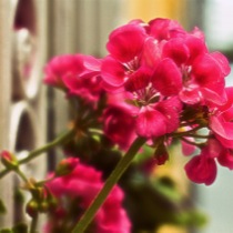 image110