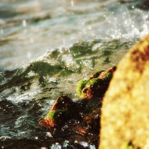 image193